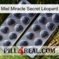 Miel Miracle Secret Léopard 31